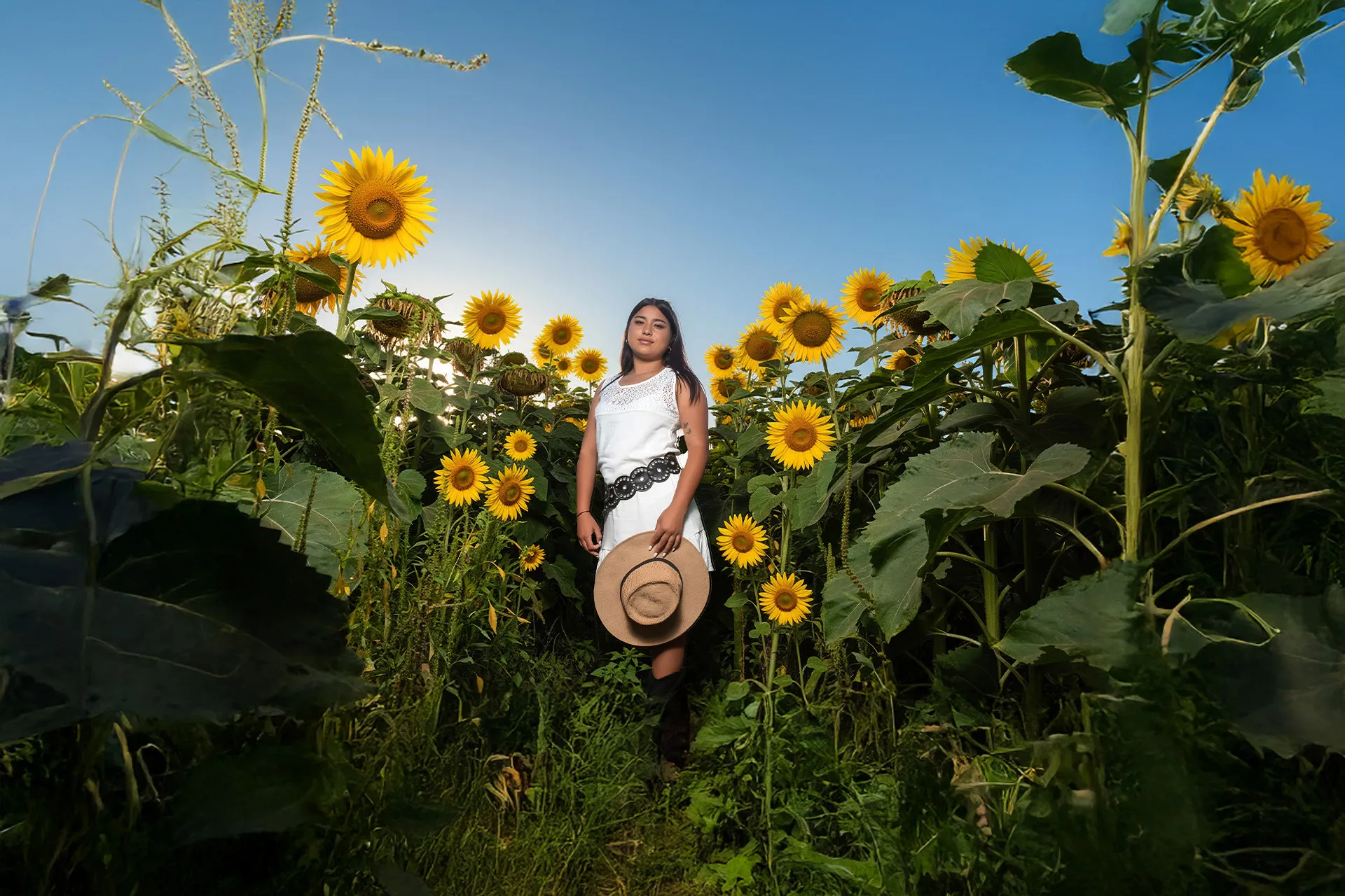 Sesi&oacute;n pre 15 en Rosario